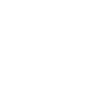 ParsinX
